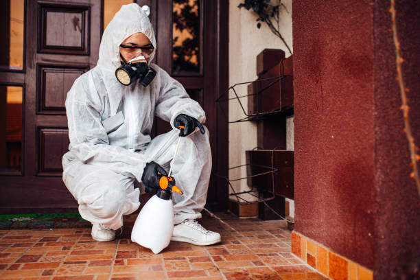 Reliable Bed Bug Control contractor in Discovery Harbour, HI by Nex Pest Control